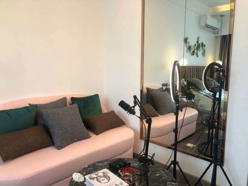 上海松江微谷樓盤資料及濟寧房產資訊概覽